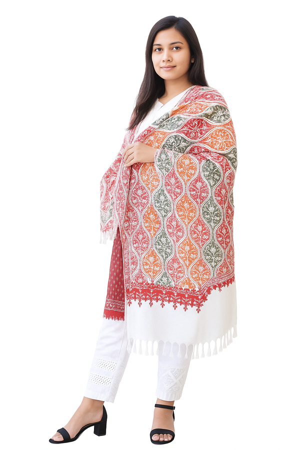 Kashmiri Shawl With Kashmire Embroidery, Indian Shawl, Mulit Color Embroidery Shawl, Aari Embroidery,Shawl Women, Kashmiri Accessory Size -28x80