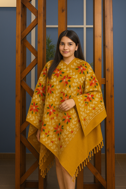 Kashmiri Shawl With Kashmire Embroidery, Indian Shawl, Mulit Color Embroidery Shawl, Aari Embroidery,Shawl Women, Kashmiri Accessory Size -28x80