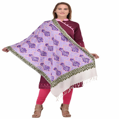 Kashmir Embroidered Floral Pure Wool Shawl | Traditional Aari Hand Embroidery | 28" x 80" Inch